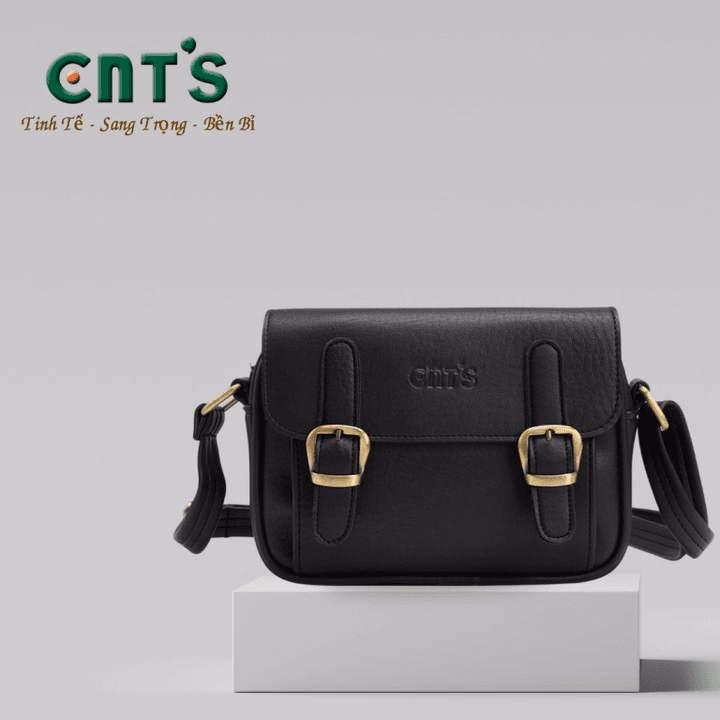 Túi Đeo Chéo Thời Trang Nữ Nhiều Màu Tdx79 Winnie House - Cnt - Ảnh 3