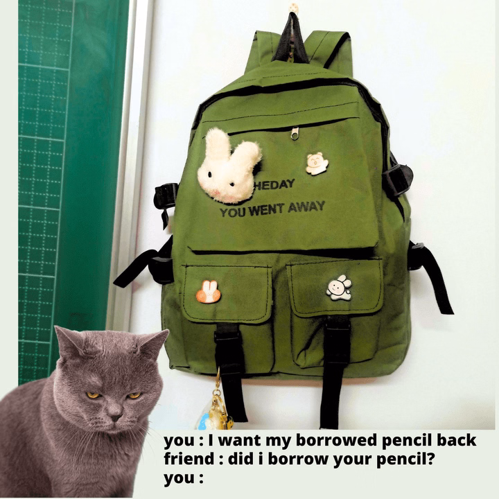 Balo Du Lịch Đi Học Thời Trang Nam Nữ Hàn Quốc - Shop Mẹ Bống - Ảnh 6