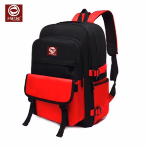 Balo Thời Trang Phối 2 Màu Cá Tính Ulzzang Hr297 - Haras