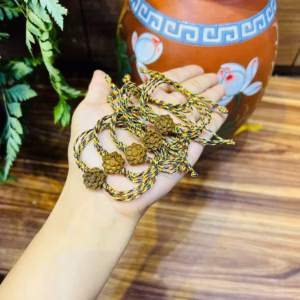 Vòng Tay Sen Trầm Hương Tết Chỉ Ngũ Sắc May Mắn - Thắng Giang