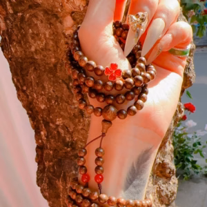 Vòng Tay Trầm Hương Tốc Thiên Nhiên Phối Cỏ Bốn Lá Đá Phong Thủy - Thắng Giang