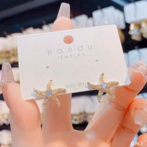 Bông Tai Hình Ngôi Sao Chuẩn Bạc Ta Có Thẻ Hóa Đơn - Thắng Giang