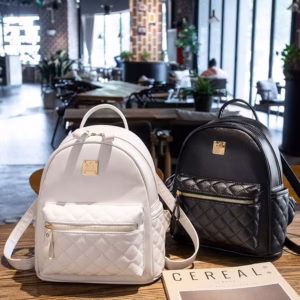 Balo Nữ Thời Trang Họa Tiết Phong Cách Hàn Quốc Đẹp 489 - Larita Fashion