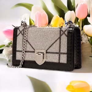 Túi Đeo Vai Kim Tuyến Nhũ Siêu Đẹp Wh26 - Winnie House