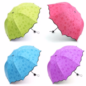 Ô Dù Gặp Nước Nở Hoa - Gdn